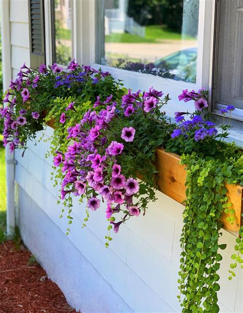Window Flower Boxes Weekend Craft