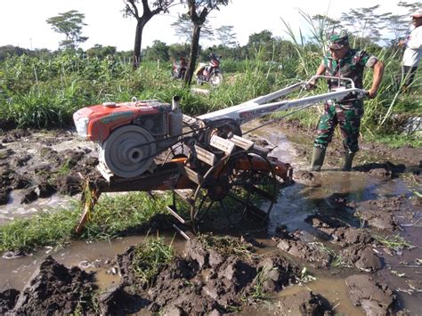 Maybe you would like to learn more about one of these? Sketsa Petani Membajak Sawah Dengan Kerbau - Cara ...