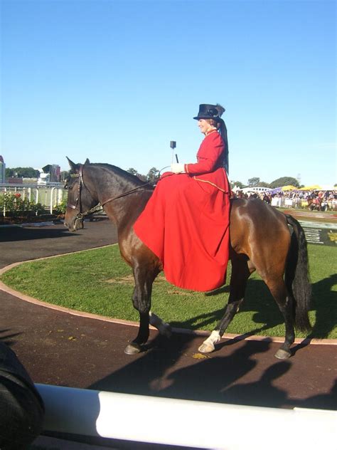 Side Saddle History Through The Years To Current Time