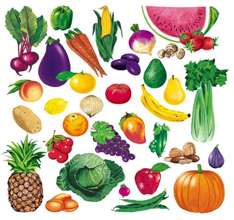 Kids Under 7 Fruits And Vegetables Pictures For Classroom