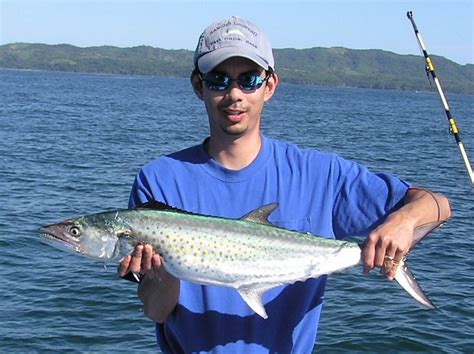 Fishing For Pacific Sierra Mackerel