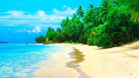 Maldives Summer Resort Sea Sandy Beach Coconut Trees Waves Desktop Wallpaper Hd 1920x1080