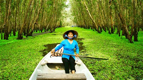 Rau rừng phải vận chuyển bằng máy bay nên có giá thành đắt đỏ, nhưng nhiều bà nội trợ ở hà nội vẫn sẵn sàng bỏ tiền mua. Ao ba ba - Casual wear in South Vietnam - Mekong Delta Tours