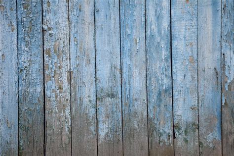 Use horizontal strokes for horizontal panes of wood, and vertical strokes for vertical panes of wood. Old Painted Wooden Fence, Naturally Weathered Stock Photos ...