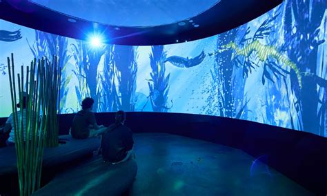 Sea Life Melbourne Aquarium Tickets Experience Oz