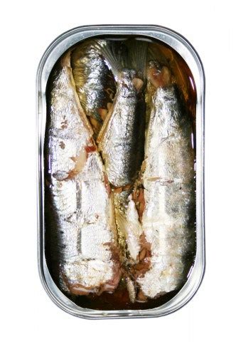 However, both anchovies and sardines can be prepared through grilling, frying, fileting, or virtually any other fish cooking method. Sardines Nutrition, Benefits & Recipe Ideas