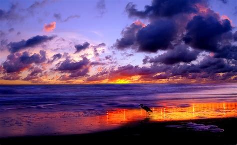 Beach Sunset Wallpaper Desktop See To World