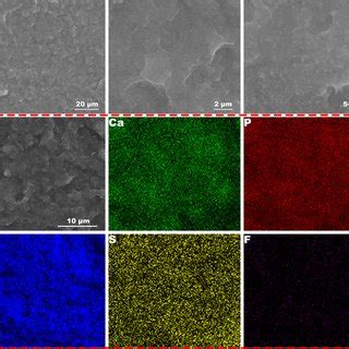 SEM Micrographs And EDS Mapping Of The Cross Section Of PAE 60 HA