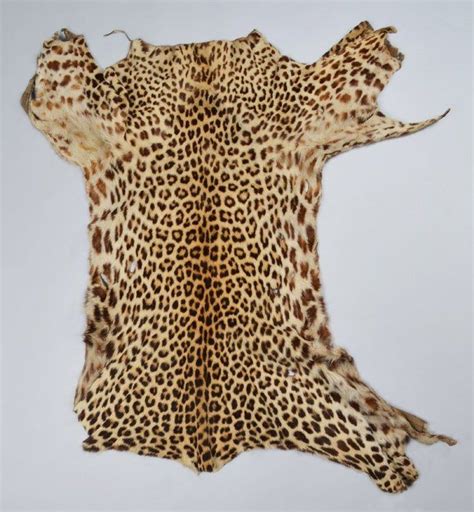 Shona Leopard Skin Apron Shona Latest Images Leopard