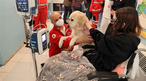 Pet Therapy Chirurgia Pediatrica (10)