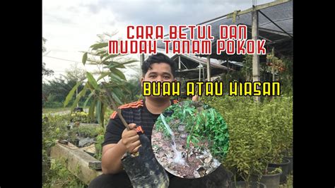 Sebenarnya ramai lagi tetapi ka. Cara betul dan mudah tanam pokok / tree planting - YouTube