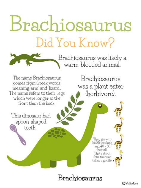 I Love These So Much Cute And Educational Dinosaur Facts For