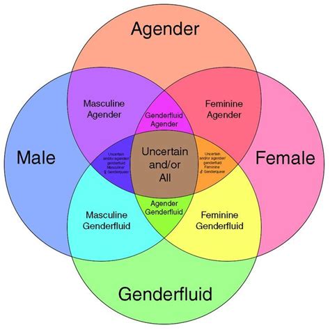 Gender Identity Infographic