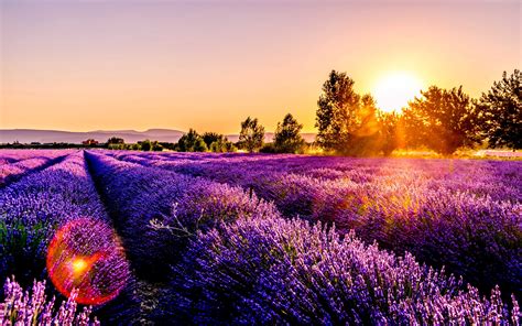 Download Wallpaper 3840x2400 Field Flowers Sunset Drome France 4k