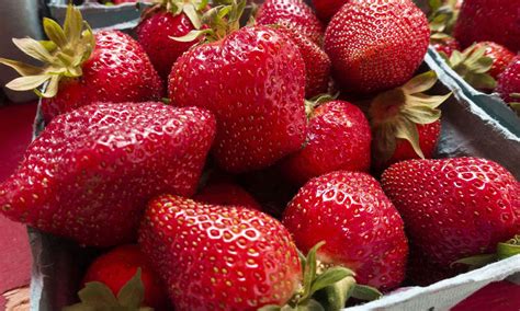 How to Keep Strawberries Fresh for As Long As Possible | MyRecipes