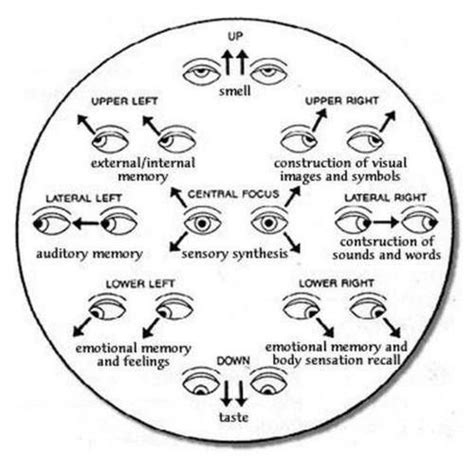 this simple guide to eye movement body language gives you clues to how someone may be thinking
