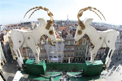 Poznań goats is one of the tourist attractions of poznań. Co zobaczyć w Poznaniu podczas Euro 2012 | Poland travel ...