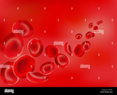 Red Blood Cells Stock Photo Alamy