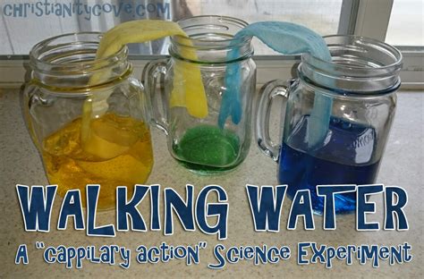 Why not try a fun science experiment right now? " Walking Water" - A Spring Bible Science Experiment ...