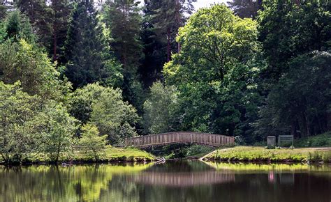 Mallards Pike Forest Of Dean Gloucestershire Mallards P Flickr