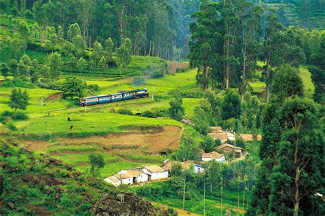 Ooty Hill Station Things To Do In Ooty Ooty Tourist Spots Doddabetta