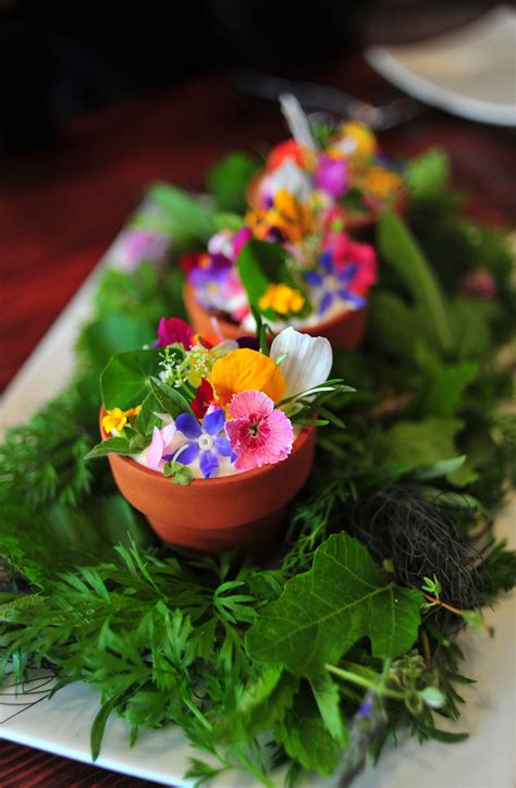Full sun or part shade. 14th Course: the SPRING FLOWER POT | the SPRING FLOWER POT ...