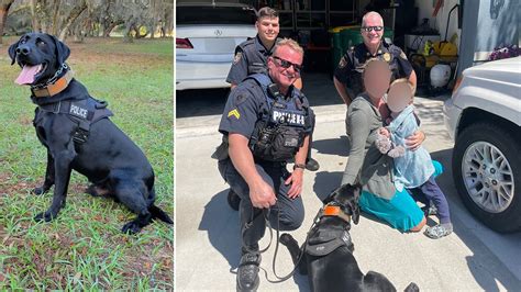 Police dog finds missing Florida toddler safe in woods after following