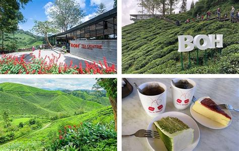 7 Tempat Menarik Di Cameron Highlands Yang Wajib Dikunjungi