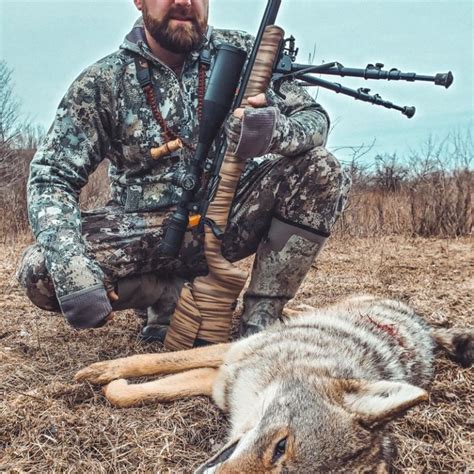 Coyote Hunting Pictures Downwind Outdoors