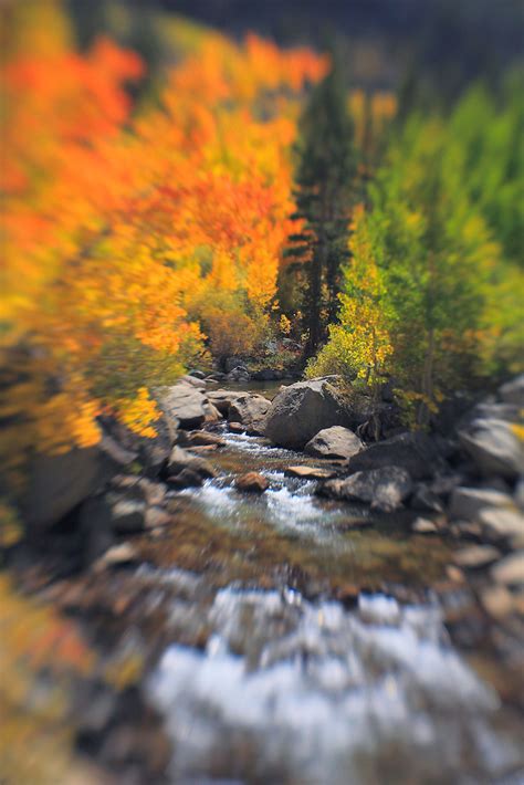 Bishop Creek Middle Fork Fall Color Lensbaby Bill Edwards Photography