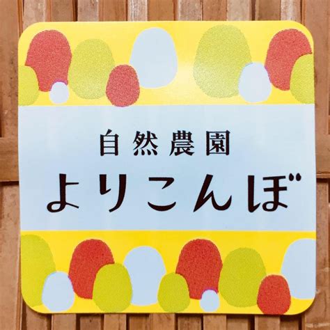 明徳義塾中学校・高等学校（めいとくぎじゅくちゅうがっこう・こうとうがっこう）は、高知県にある私立 中学校・高等学校である。 中高一貫教育 を実施しており、 須崎市 浦ノ内下中山に堂ノ浦キャンパス（本校）、 土佐市 宇佐町竜に国際キャンパスが. 明徳義塾高校 サッカー部