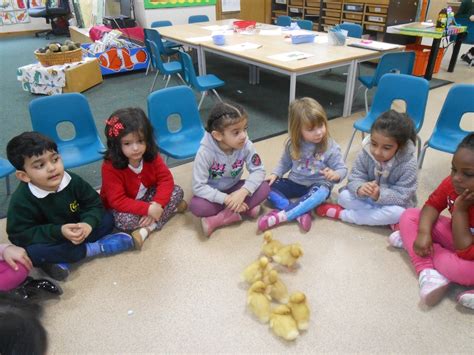 Nursery Gallery Chater Infant School