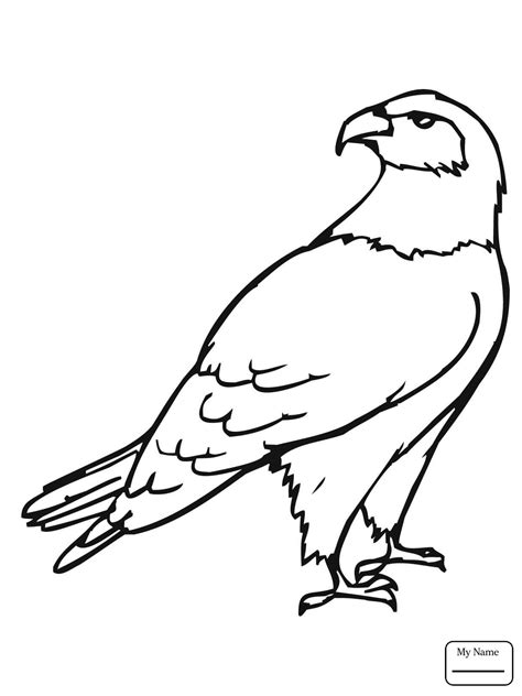 Here you can explore hq tony hawk transparent illustrations, icons and clipart with filter setting like size, type, color etc. Tony Hawk Coloring Pages at GetDrawings | Free download