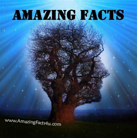 15 Amazing Facts Amazing Facts 4u