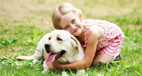 As mentioned in the video esa should only be obtained when needed and if. Register online So as to claim an emotional support animal ...