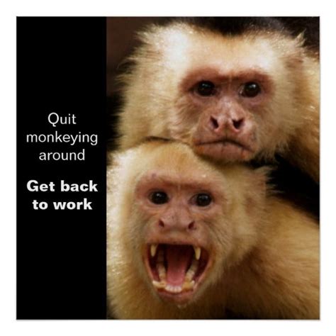 Two Monkeys Motivational Poster In 2021 Motivational