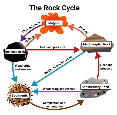 Basic Rock Cycle Diagram