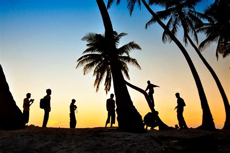 图片素材 People On Beach People In Nature 天空 棕榈树 日落 乐趣 轮廓 范围 木本植物