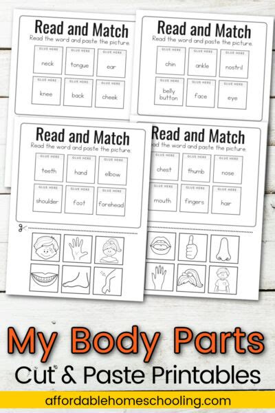 Free My Body Parts Printables For Young Learners