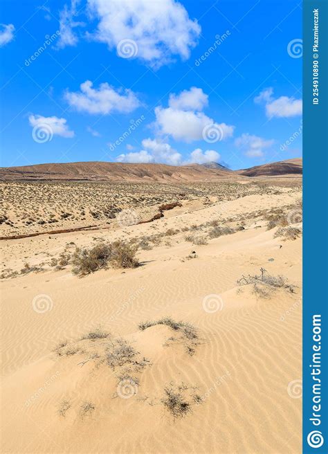 Desert Landscape And Sand Dune On Sotavento Beach On Jandia Peninsula