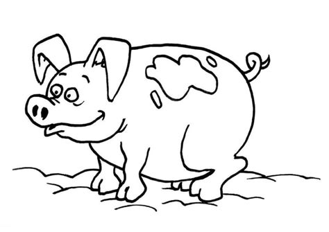 Dibujo Para Colorear Cerdo Dibujos Para Imprimir Gratis Img