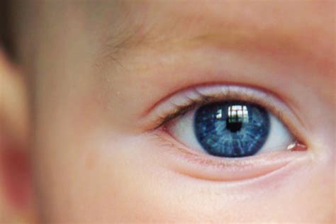 Baby Blues Eye Color A Moment Of Science Indiana Coloring Wallpapers Download Free Images Wallpaper [coloring654.blogspot.com]