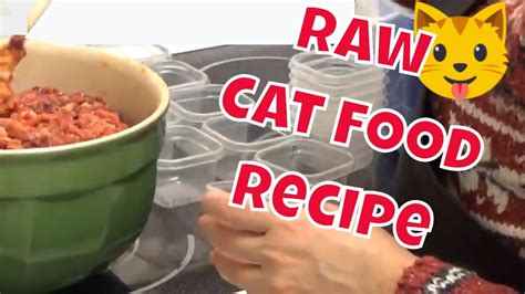 Ashton and newton have been eating raw, ground cat food for about six months now, and i have been making it for them for about three months. How to make raw cat food - Homemade recipe for healthy ...
