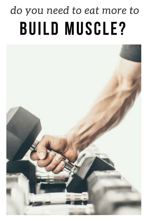 Do You Need To Eat More To Build Muscle Huffpost Latest News