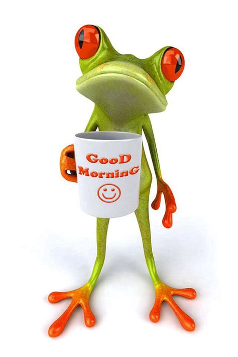 Good Morning Tree Frog Art Funny Frogs Frog Pictures