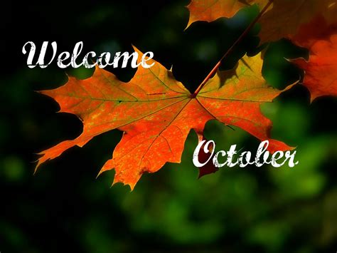 Welcome October - Niki Yiannoulidou