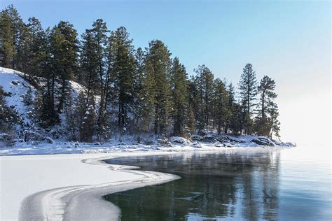 Frozen Lake Shore Photograph By Amy Sorvillo