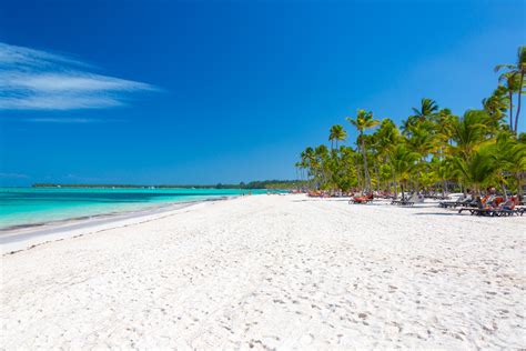 Palm Trees On The Beach Free Stock Photo Public Domain Pictures