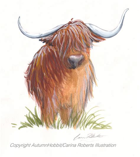 Awasome Draw A Highland Cow 2022