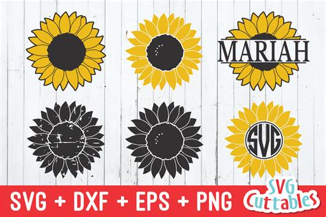 Sunflower Collection | Spring | SVG Cut File (241926) | Cut Files